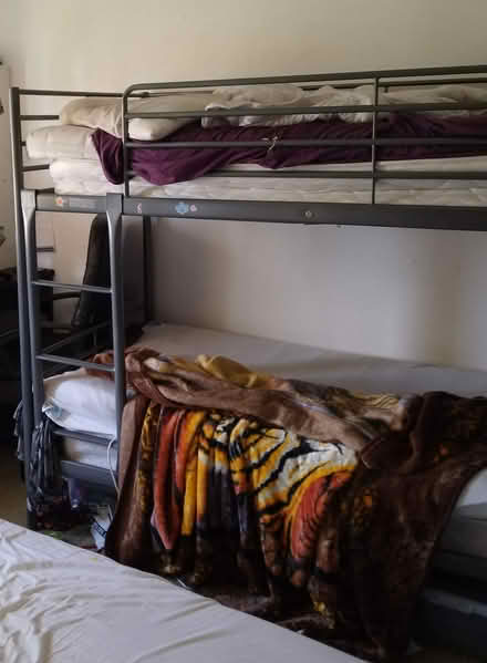 Photo of free Bunk bed (AL10 8SY Hatfield) #1