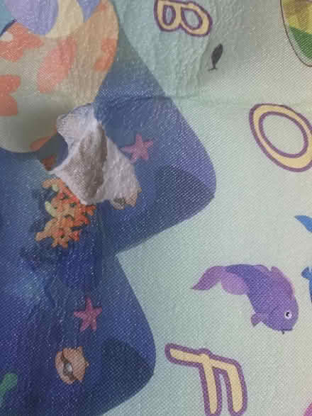 Photo of free Double sided floor mat (CR7) #3