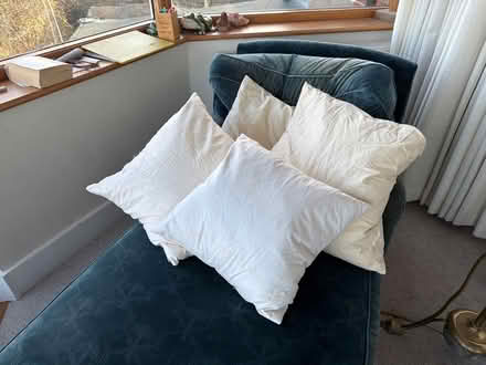 Photo of free 4 feather/ down cushion pads (Itchenor PO20) #1