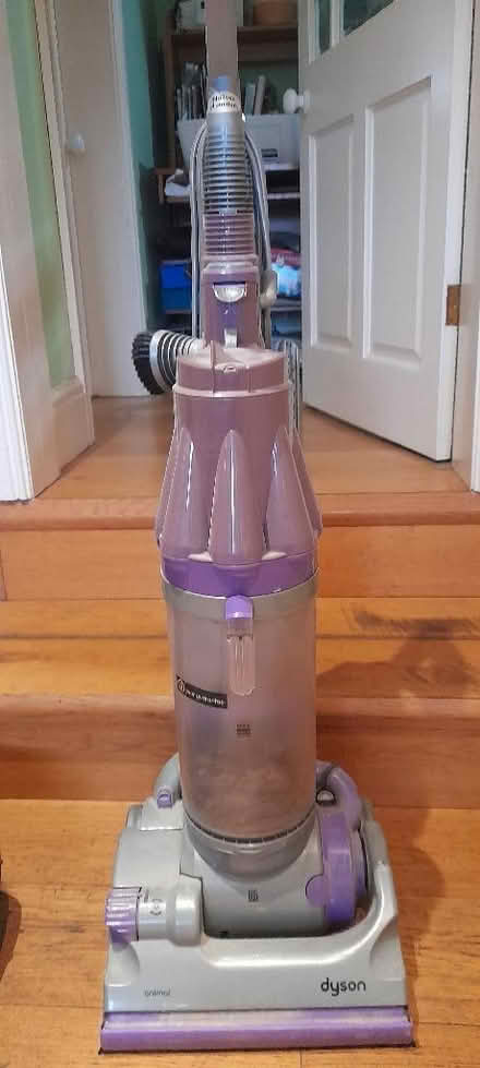 Photo of free Dyson animal hoover (Burbage SK17) #2