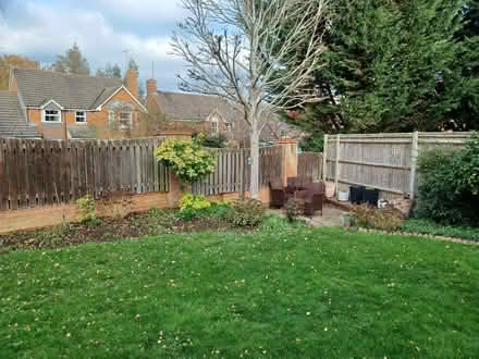 Photo of free Firewood (Woodley RG5) #3