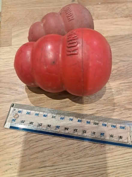 Photo of free Two Kongs (for dogs) (Weston) #1
