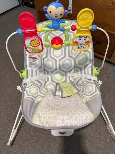 Photo of free Baby Bouncer (Countryside) #1