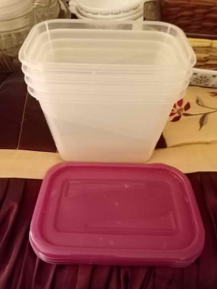 Photo of free New plastic containers with lids (Tonbridge TN9) #1