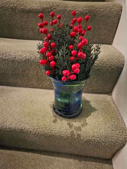 Photo of free Artificial Christmas berries and pine (Higham Hill E17) #1