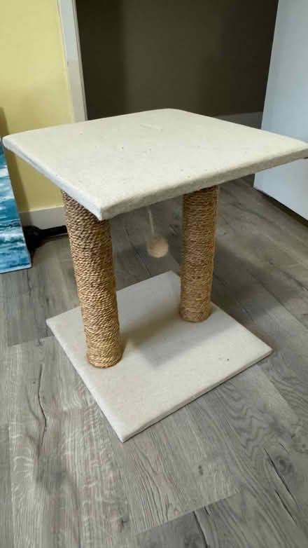 Photo of free Cat play post #2 (Near monument Blvd, Concord) #1