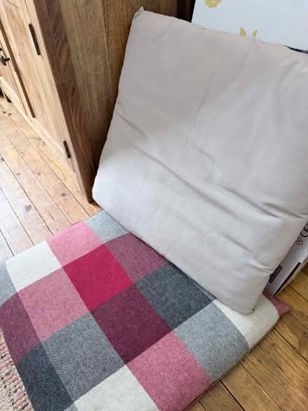 Photo of free Large cushions (Ironbridge TF8) #2