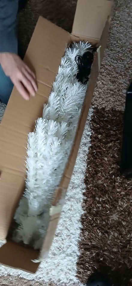 Photo of free 4ft fibre optic xmas tree (Morecambe) #1