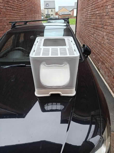 Photo of free Cat privacy loo new (wick BS30 doynton) #1