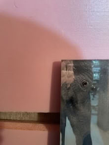 Photo of free bevelled mirror (Alta Vista) #1