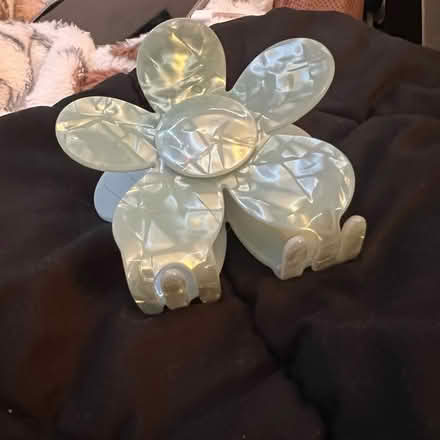 Photo of free claw clip (worcester) #3