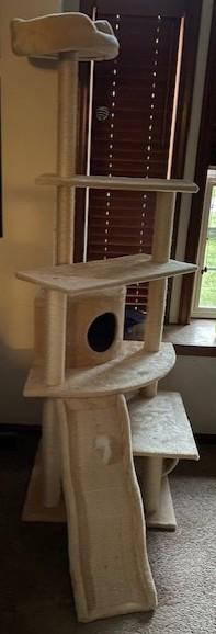 Photo of free Cat water fountain 2 large cat tree (Kingston) #3