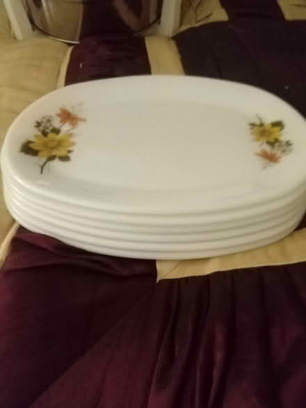 Photo of free 6 oval dinner plates (Tonbridge TN9) #2