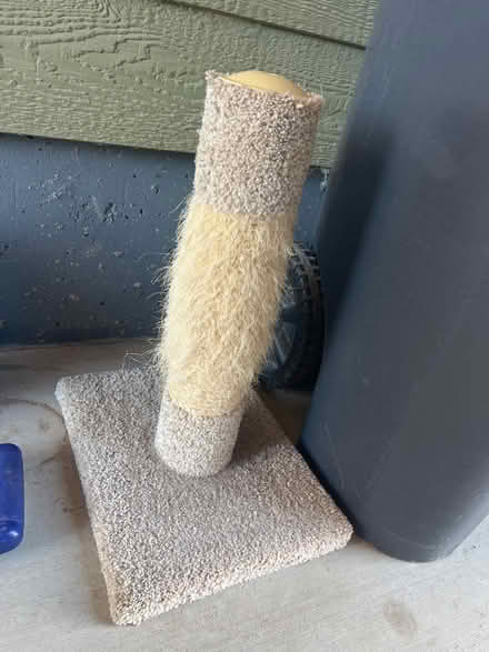 Photo of free Short cat scratcher (Near Vine and Shields) #1
