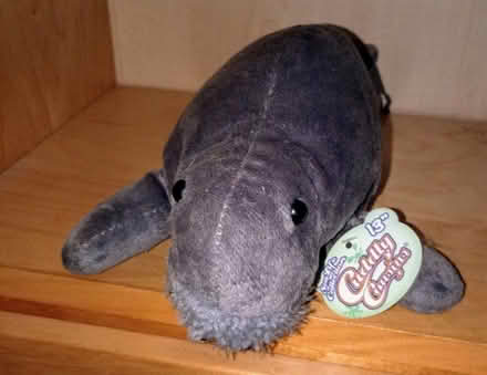 Photo of free 13 in New Soft Toy (Birdland) #1