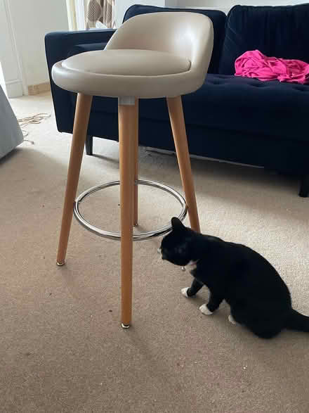 Photo of free Kitchen stool (ME16) #1