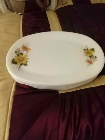 Photo of free 6 oval dinner plates (Tonbridge TN9) #1