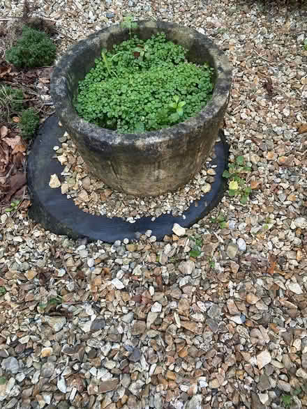 Photo of free stone planters (very heavy) (Axminster) #1