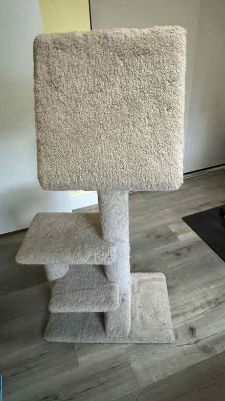Photo of free Cat play post (Near monument Blvd, Concord) #3
