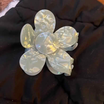 Photo of free claw clip (worcester) #1