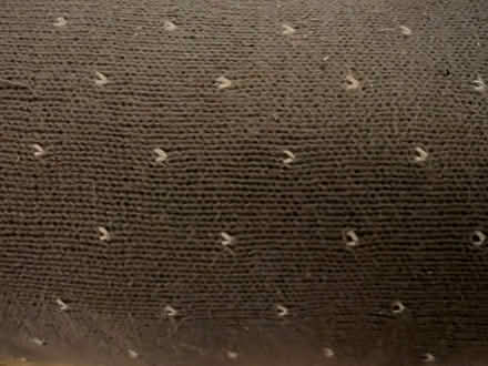 Photo of free Grey draught excluder (Mayfield EH9) #4