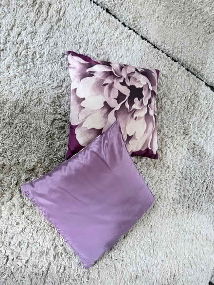 Photo of free Cushions x 2 (Ironbridge TF8) #1