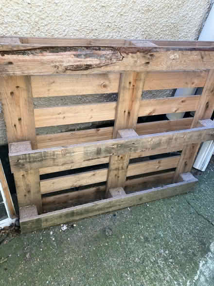 Photo of free Large pallet (Morden SM4) #1