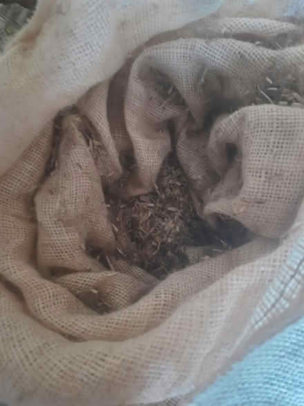 Photo of free Large hamster cage & accessories (Kew TW9) #3