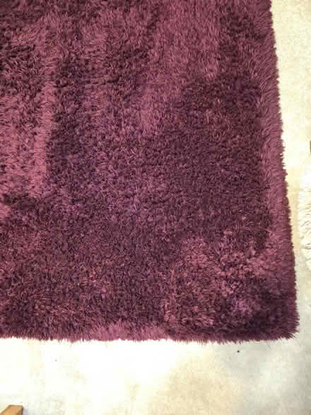 Photo of free Rug (M22 airport) #2