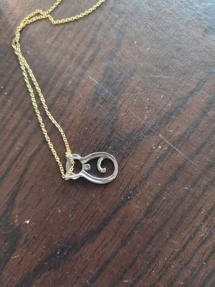 Photo of free cat necklace (Laurel) #3
