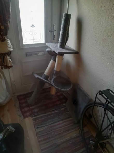 Photo of free Cat post (RG1) #1