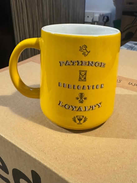 Photo of free Harry Potter Mug (Penrith CA11) #2