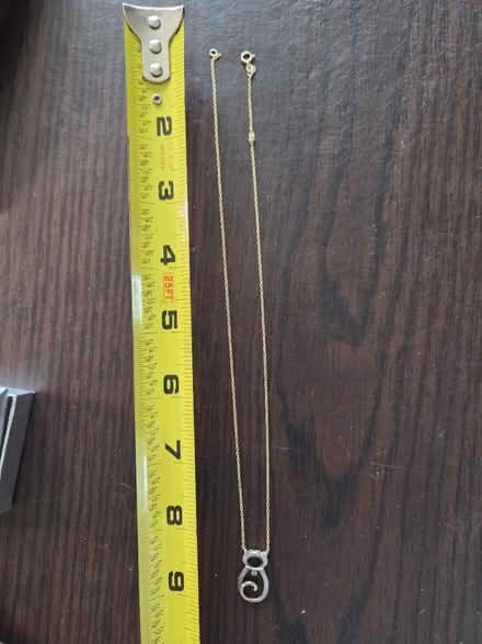 Photo of free cat necklace (Laurel) #1