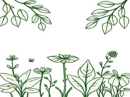 Photo of Iris Plants (Uckfield TN22) #1