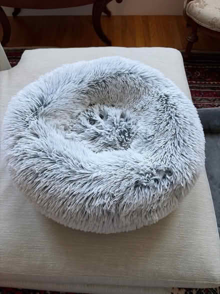 Photo of free Small dog bed (Cambridge Ma) #1