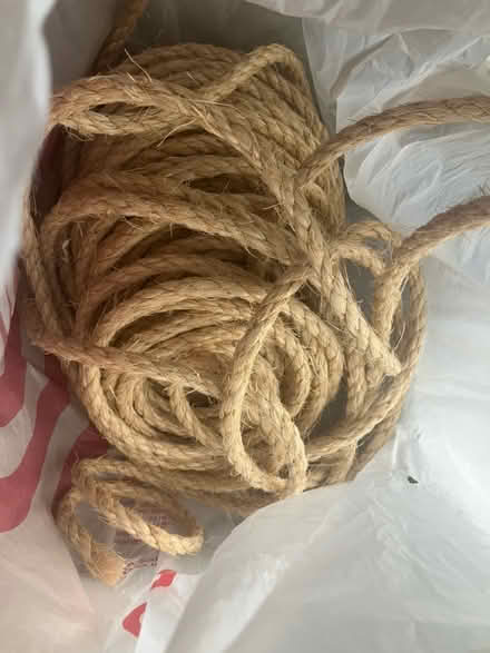 Photo of free Cat Tree (Cleveland Park) #2