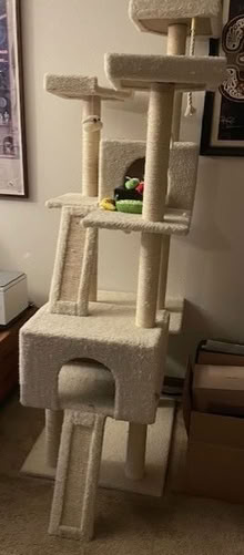Photo of free Cat water fountain 2 large cat tree (Kingston) #2