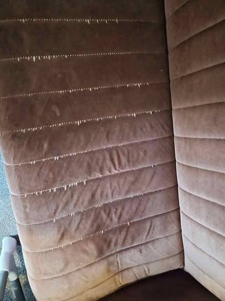 Photo of free Brown velvet style sofabed (Widford CM1) #3