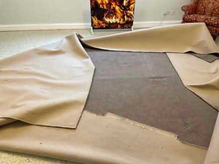 Photo of free Large thin carpet (Walton, Stone ST15) #1