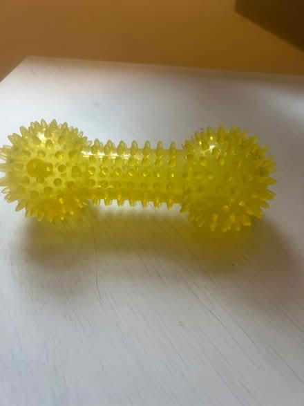 Photo of free Yellow dog bone (Belle vue Shrewsbury) #1