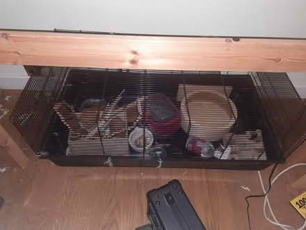 Photo of free Large hamster cage & accessories (Kew TW9) #1