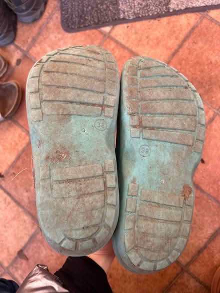 Photo of free Unisex gardening shoes (Trumpington Ward CB2) #3