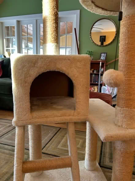 Photo of free Cat tower (Northampton near town) #3
