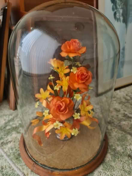 Photo of free Display case (Great Sutton CH66) #1