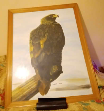 Photo of free Lge painting (Orton Goldhay) #3