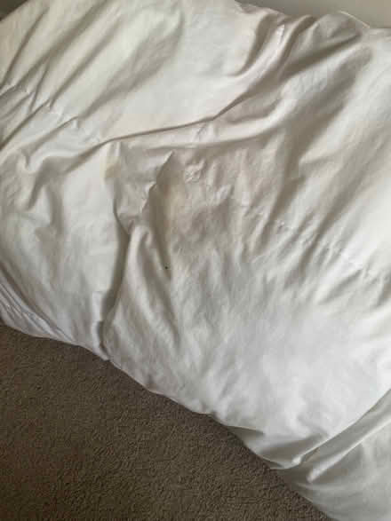 Photo of free King size duvet and 4 pillows (Longbarn WA2) #4