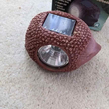 Photo of free Hedgehog garden ornament (Hastings TN34) #2