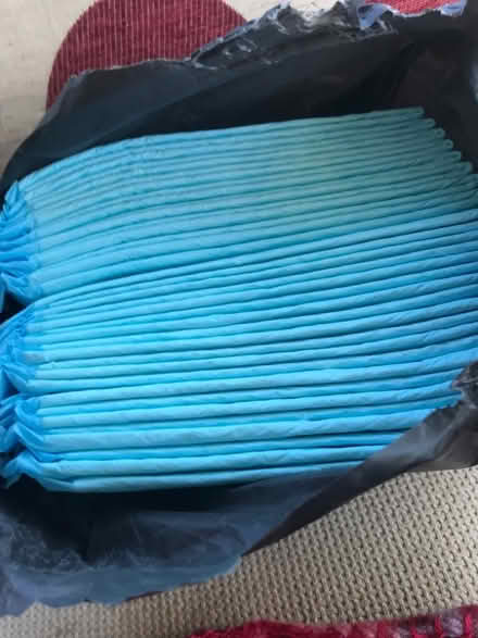 Photo of free Puppy Pads (Writhlington) #1
