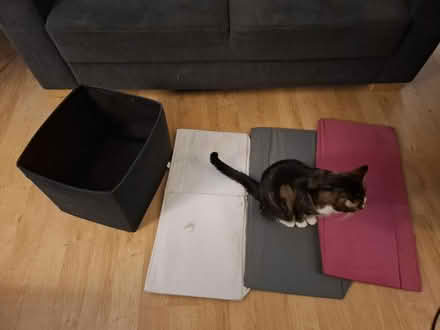 Photo of free 4 x IKEA boxes (Hanworth TW13) #1