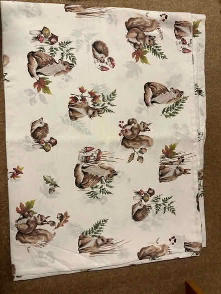 Photo of free Woodland single duvet cover and pillow case (Speldhurst TN3) #1